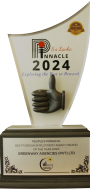 Pinnacal Awards copy